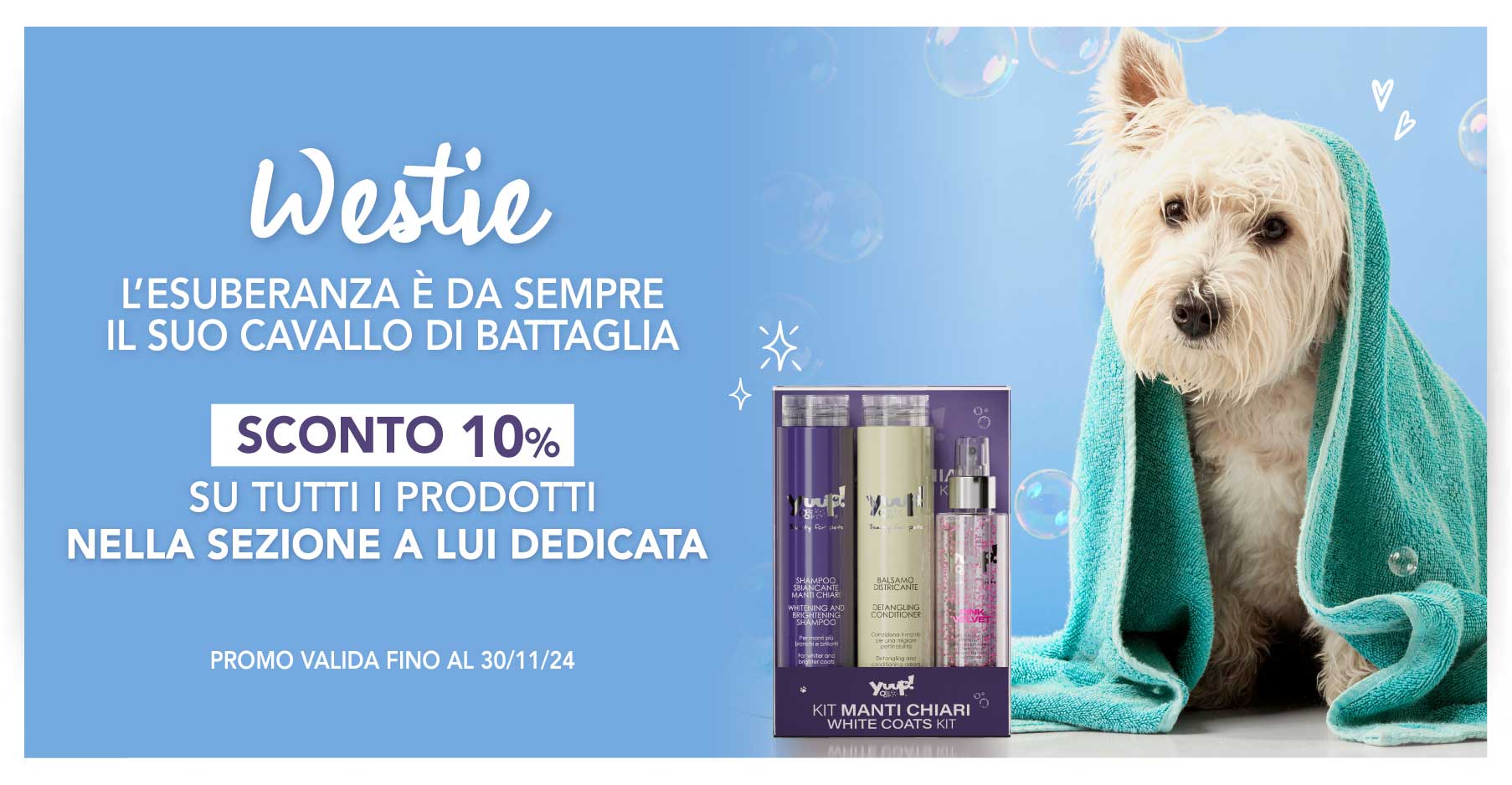 10% Sconto West Highland White Terrier